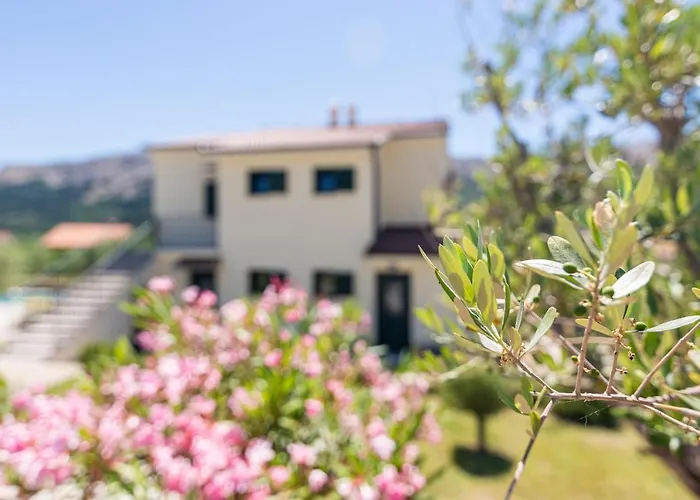 Apartments Garden