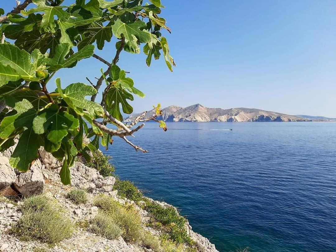 Garden Baska (Krk)